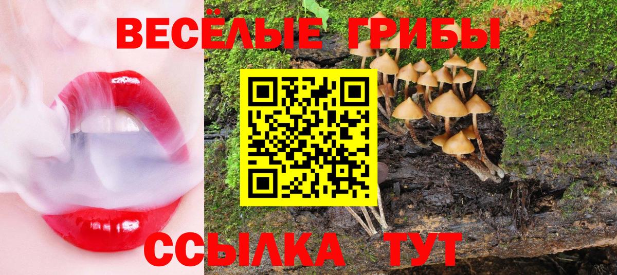 Псилоцибиновые грибы мицелий Нижнеудинск